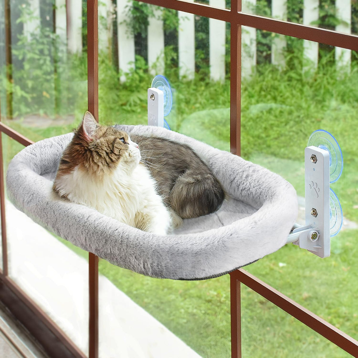 AMOSIJOY Cordless Cat Window Perch, Window Hammock for Cats with 4 Strong Suction Cups, Solid Metal Frame and Soft Cover, Indoor Cat Bed