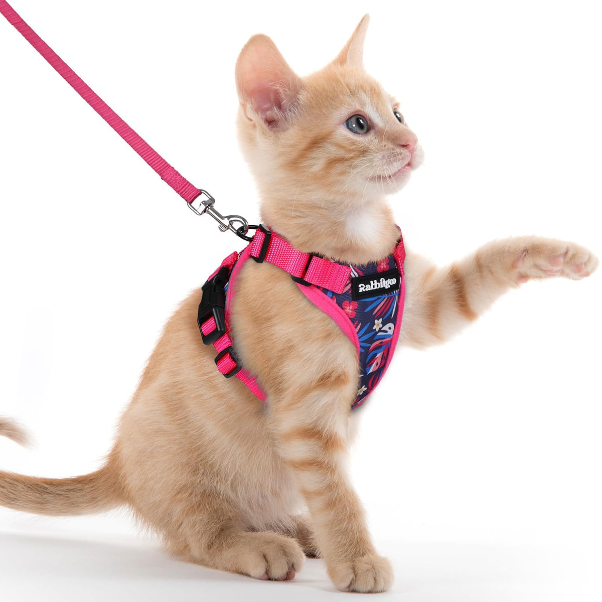 rabbitgoo Cat Harness and Leash Set, Escape Proof Vest, Black | Soft Breathable Mesh, Easy Adjustable Fit, Snap Buckles, Sturdy Clip, Reflective Strips, for Small & Average Cats Walks, Xs
