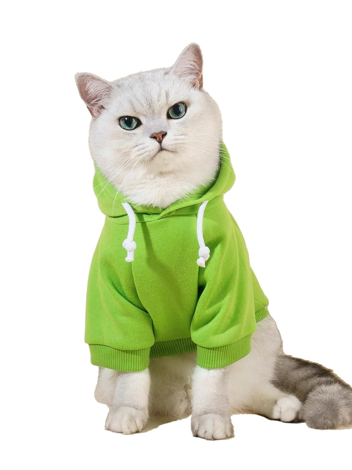 QWINEE Basic Dog Hoodie Sweatshirt Puppy Sweater Warm Cat Costumes Pet Clothes for Chihuahua Puppy Kitten Small Medium Dogs Cadet Blue Medium