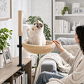 Cat Desk Bed with Scratching Post Clamp On 360 Rotating Camel