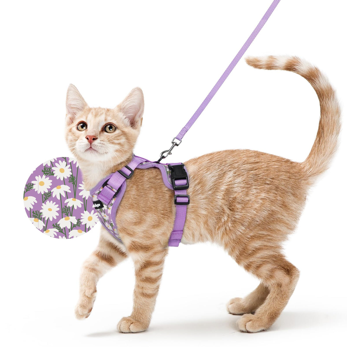 rabbitgoo Cat Harness and Leash Set, Escape Proof Vest, Black | Soft Breathable Mesh, Easy Adjustable Fit, Snap Buckles, Sturdy Clip, Reflective Strips, for Small & Average Cats Walks, Xs