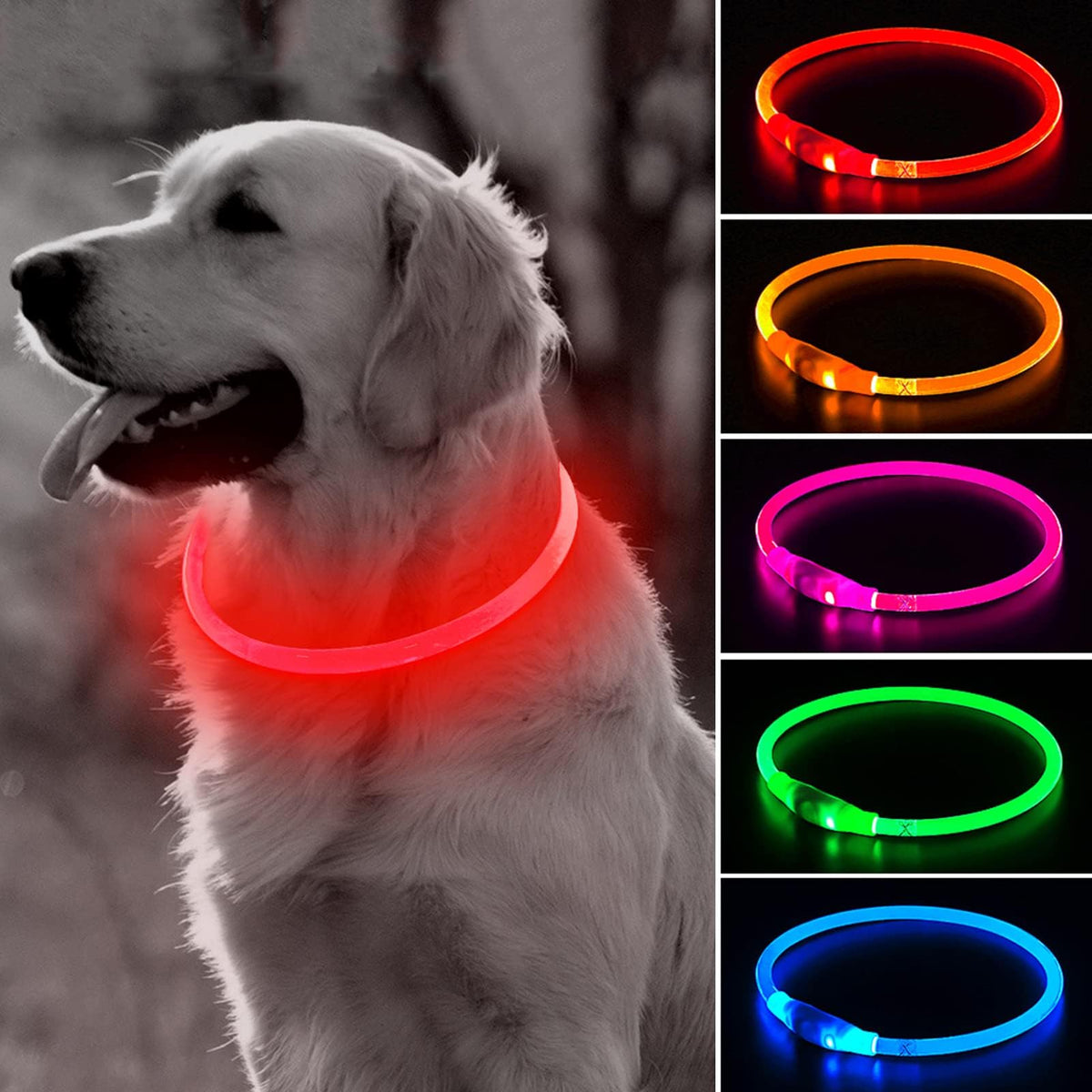 BSEEN Light Up Dog Collar - LED Dog Collar Rechargeable, Glowing Pet Collars for Small Medium Large Dogs, TPU Cuttable Lighted Puppy Collar, Safety Dog Lights for Night Walking (Green 70cm)
