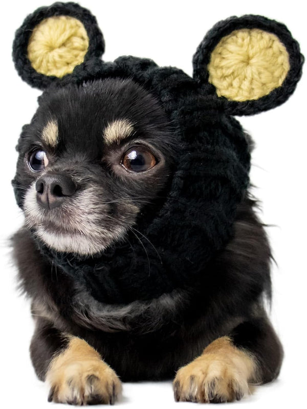 Zoo Snoods Black Bear Dog Costume - Teddy Bear Costume for Dogs (Small)