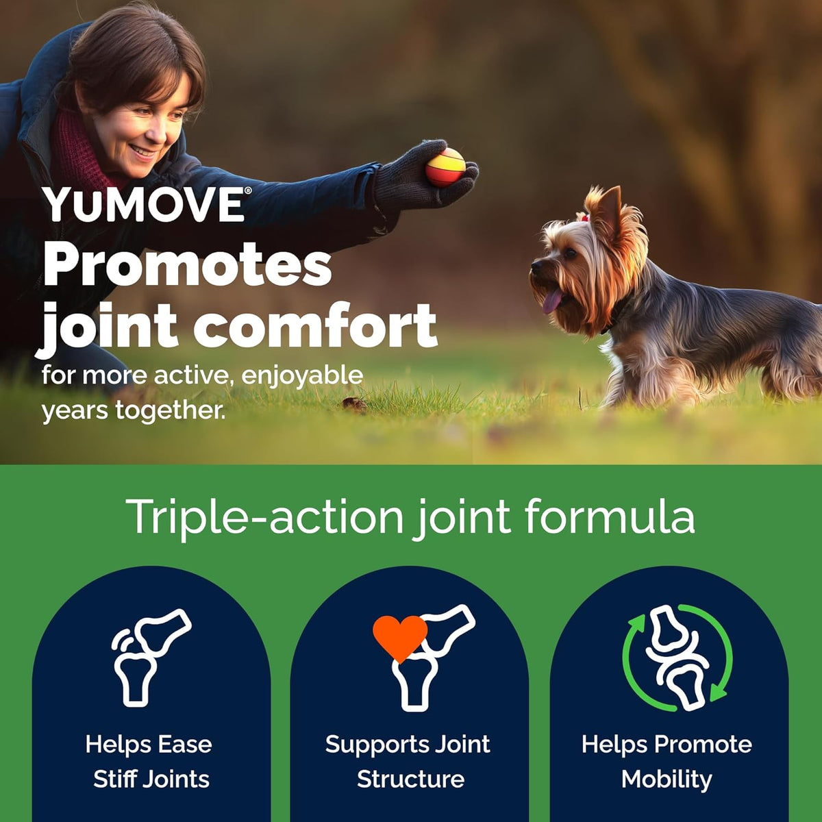 YuMOVE Small Dog Hip & Joint Supplement Soft Chews, ActivEase Green Lipped Mussel, Glucosamine for Dogs, Hyaluronic Acid & Omega 3 - Hickory Seafood Flavor - 60 Chews (Small/Medium Dogs)