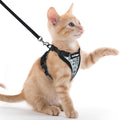 rabbitgoo Cat Harness and Leash Set, Escape Proof Vest, Black | Soft Breathable Mesh, Easy Adjustable Fit, Snap Buckles, Sturdy Clip, Reflective Strips, for Small & Average Cats Walks, Xs