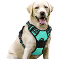rabbitgoo Dog Harness No Pull with 2 Leash Clips, Adjustable Soft Padded, Reflective Oxford No Choke Pet Vest with Easy Control Handle for Medium Sized Dogs, Black, M
