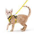 rabbitgoo Cat Harness and Leash Set, Escape Proof Vest, Black | Soft Breathable Mesh, Easy Adjustable Fit, Snap Buckles, Sturdy Clip, Reflective Strips, for Small & Average Cats Walks, Xs