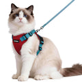rabbitgoo Cat Harness and Leash Set, Escape Proof Vest, Black | Soft Breathable Mesh, Easy Adjustable Fit, Snap Buckles, Sturdy Clip, Reflective Strips, for Small & Average Cats Walks, Xs