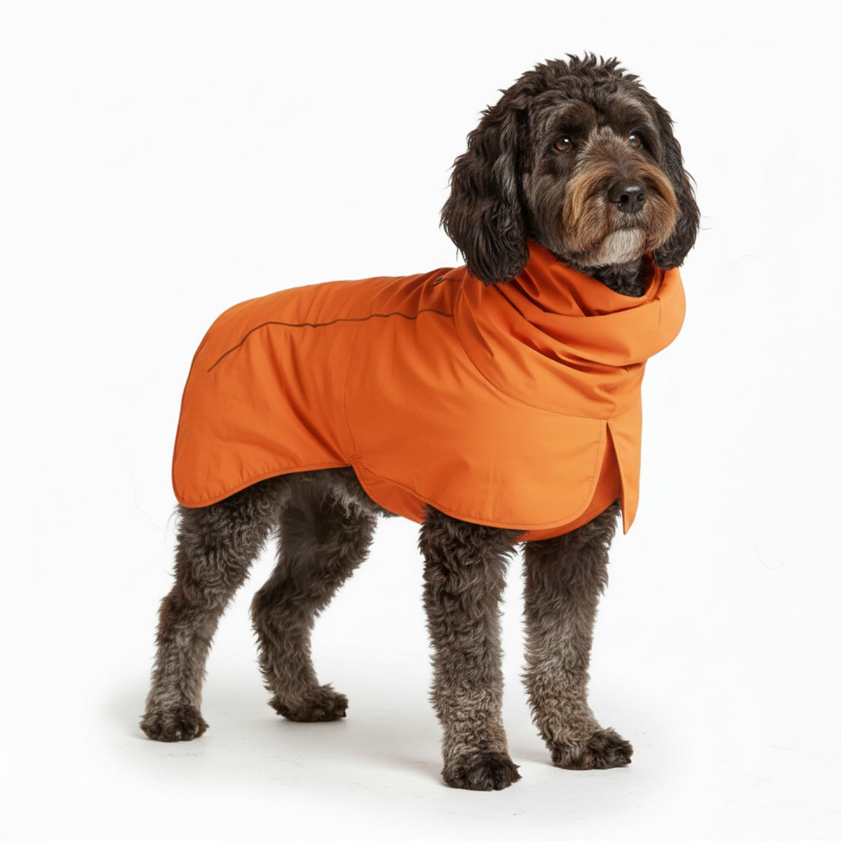Spark Paws Dog Raincoat, Waterproof Windproof Rain Jacket, for Small Medium Large Extra Large Dogs, Reflective Breathable Full-Body Coverage Dry Suit - Neon White Navy Blue, 2XL
