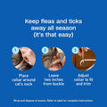 ADAMS Plus Flea & Tick Collar for Cats, Flea Collar for 7-Month Prevention, Adjustable Collar Fits Cats & Kittens, Kills Fleas & Ticks, 1 Count