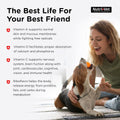 Nutri-Vet Multi-Vite Chewables for Adult Dogs, Daily Multivitamin & Mineral Supplement for Overall Health, Immune Support, and Balanced Nutrition, 180 Count