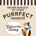 Merrick Purrfect Bistro Grain Free Chicken and Sweet Potato Recipe Natural Dry Cat Food for Adult Cats, High Protein, Outdoor or Indoor Cat Food - 12 lb. Bag