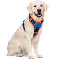 rabbitgoo Dog Harness No Pull with 2 Leash Clips, Adjustable Soft Padded, Reflective Oxford No Choke Pet Vest with Easy Control Handle for Medium Sized Dogs, Black, M