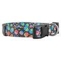 Native Pup Halloween Dog Collar- Spooky Fall Themed Horror Costume Collars- Skull, Pumpkin, Ghost, Bat, Witch, Candy Corn, Spider- Adjustable for Small, Medium, Large Breeds (Small, Big Pumpkins)