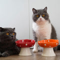 Orange Mushroom Cat Bowl, Elevated Ceramic Bowl for Cats