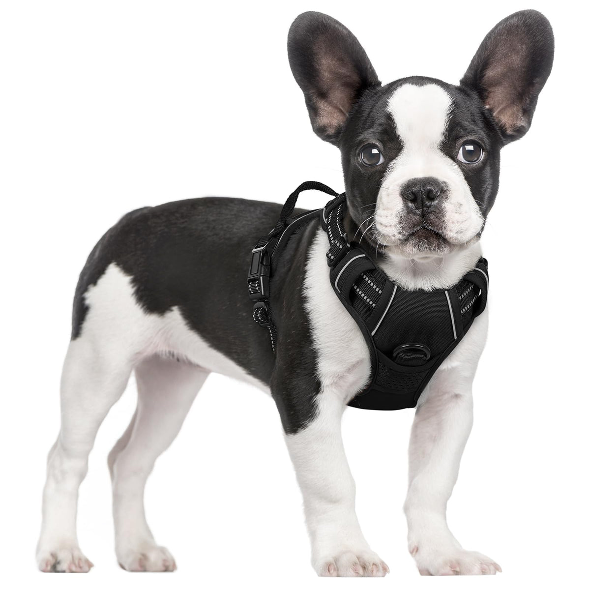 rabbitgoo Dog Harness No Pull with 2 Leash Clips, Adjustable Soft Padded, Reflective Oxford No Choke Pet Vest with Easy Control Handle for Medium Sized Dogs, Black, M