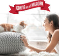 Nature’s Miracle Urine Destroyer Plus for Cats, Enzymatic Formula Tough on Strong Cat Urine And The Yellow Sticky Residue, 1 Gal