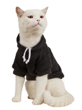 QWINEE Basic Dog Hoodie Sweatshirt Puppy Sweater Warm Cat Costumes Pet Clothes for Chihuahua Puppy Kitten Small Medium Dogs Cadet Blue Medium