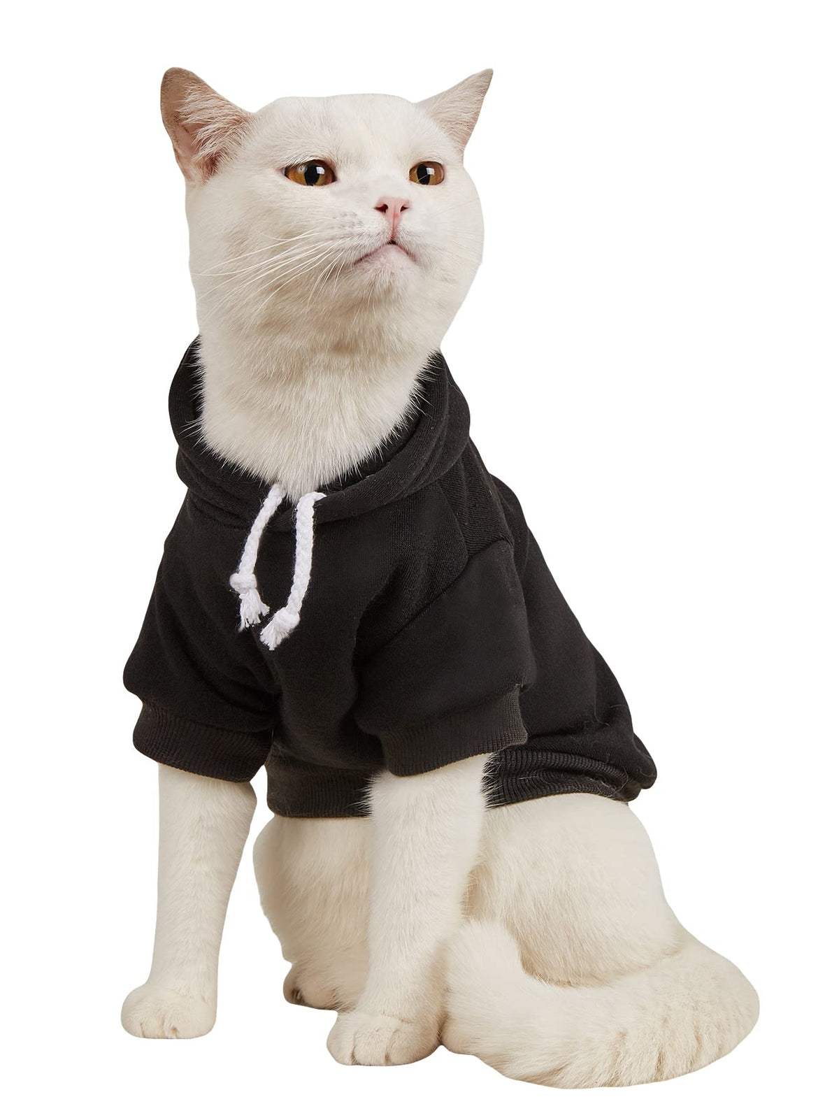 QWINEE Basic Dog Hoodie Sweatshirt Puppy Sweater Warm Cat Costumes Pet Clothes for Chihuahua Puppy Kitten Small Medium Dogs Cadet Blue Medium