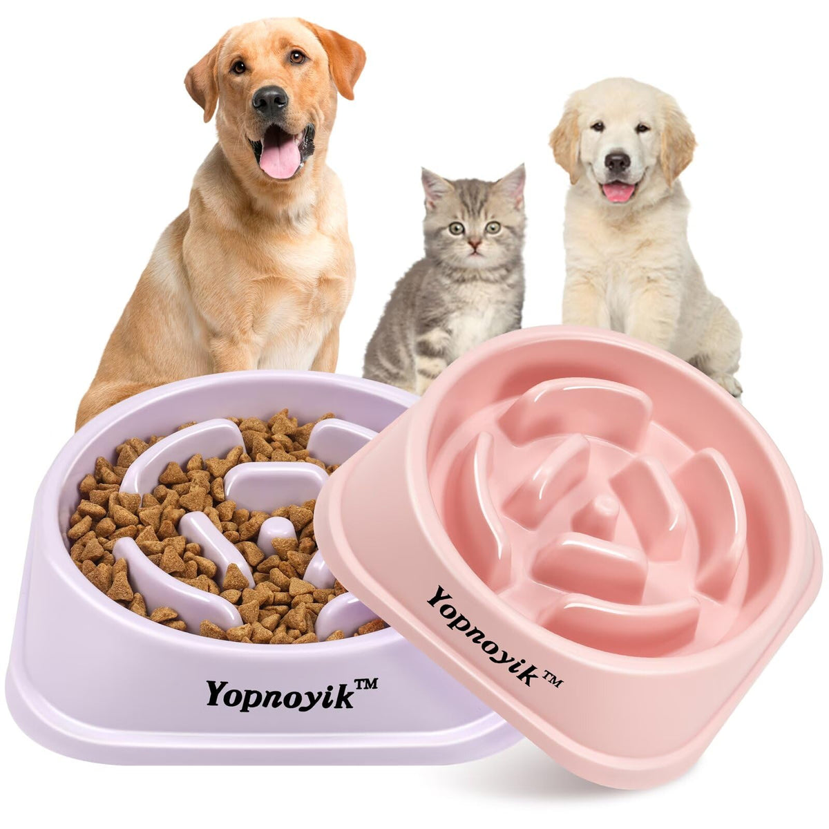 2 Pack Slow Feeder Dog Bowls for Healthy Eating, Non-Slip and Anti-Choking Design, Reduces Bloating & Overeating for Medium Dogs and Cats, Easy to Clean