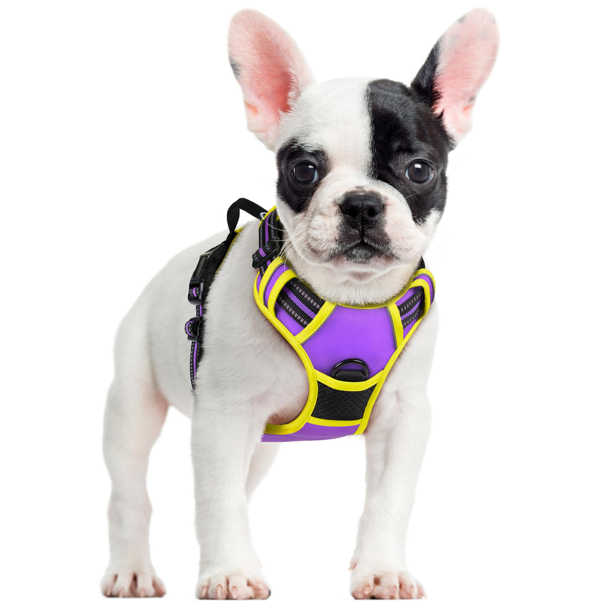 rabbitgoo Dog Harness No Pull with 2 Leash Clips, Adjustable Soft Padded, Reflective Oxford No Choke Pet Vest with Easy Control Handle for Medium Sized Dogs, Black, M