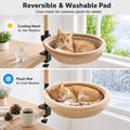 Cat Desk Bed with Scratching Post Clamp On 360 Rotating Camel
