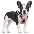 rabbitgoo Dog Harness No Pull with 2 Leash Clips, Adjustable Soft Padded, Reflective Oxford No Choke Pet Vest with Easy Control Handle for Medium Sized Dogs, Black, M