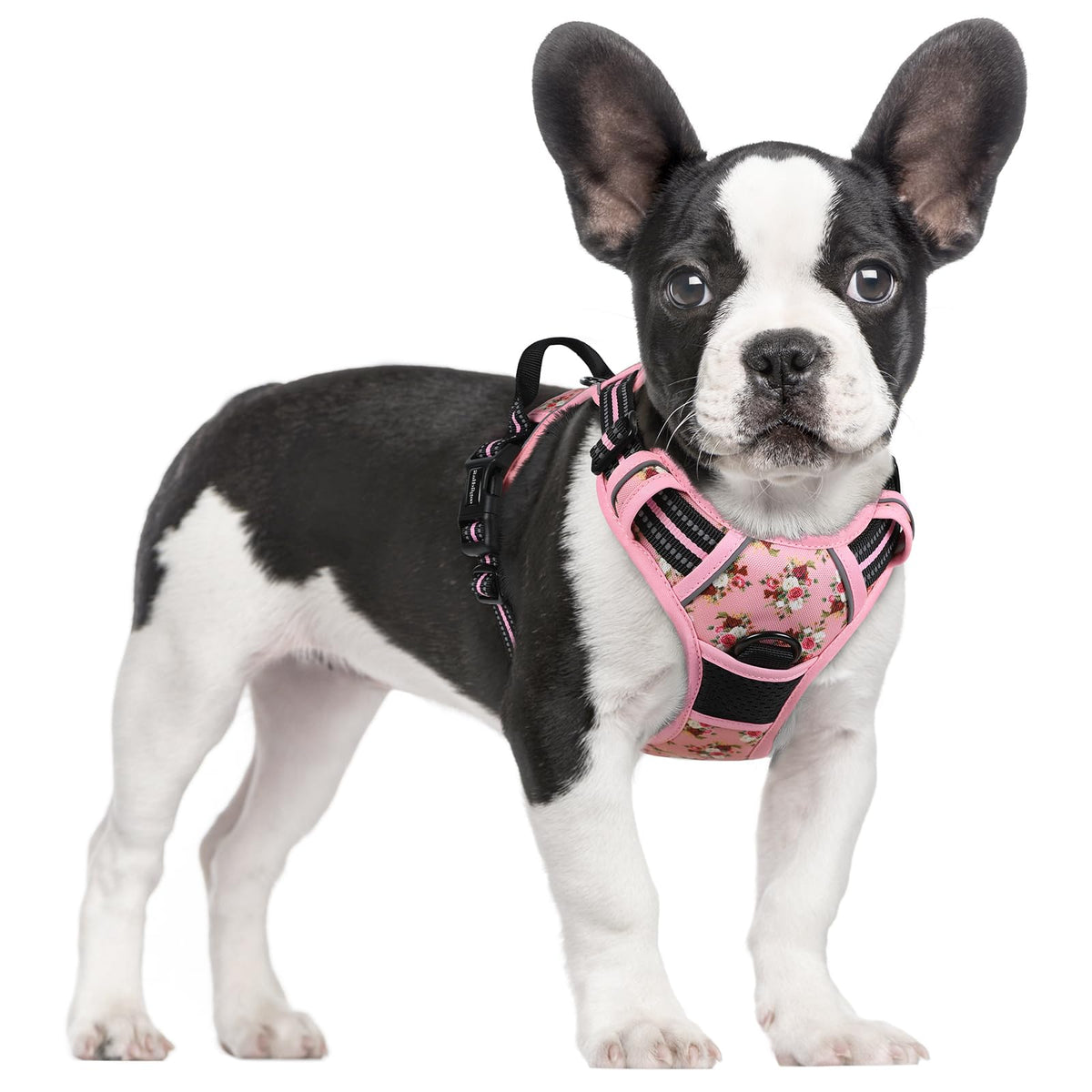 rabbitgoo Dog Harness No Pull with 2 Leash Clips, Adjustable Soft Padded, Reflective Oxford No Choke Pet Vest with Easy Control Handle for Medium Sized Dogs, Black, M
