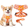 EXPAWLORER Step-in Dog Harness Small Sized Collar and Leash Set