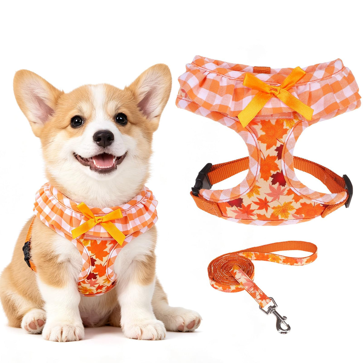 EXPAWLORER Step-in Dog Harness Small Sized Collar and Leash Set