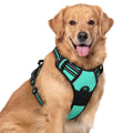 rabbitgoo Dog Harness No Pull with 2 Leash Clips, Adjustable Soft Padded, Reflective Oxford No Choke Pet Vest with Easy Control Handle for Medium Sized Dogs, Black, M