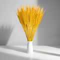 Sukh 100 Stems Dried Wheat Stalks - Boho Fall Decor for Home & Wedding
