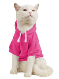 QWINEE Basic Dog Hoodie Sweatshirt Puppy Sweater Warm Cat Costumes Pet Clothes for Chihuahua Puppy Kitten Small Medium Dogs Cadet Blue Medium