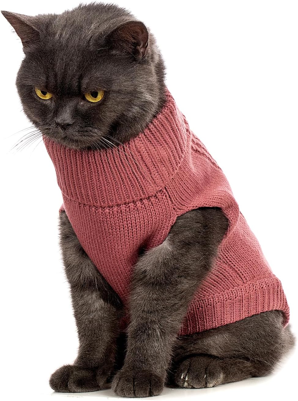 Cat Sweater Stretchy,19 Colors,6 Sizes,Snug Winter (Maple Leaf Red, Medium, Vest)