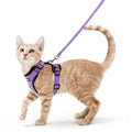 rabbitgoo Cat Harness and Leash Set, Escape Proof Vest, Black | Soft Breathable Mesh, Easy Adjustable Fit, Snap Buckles, Sturdy Clip, Reflective Strips, for Medium to Large Cats Walks, M