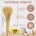Sukh 100 Stems Dried Wheat Stalks - Boho Fall Decor for Home & Wedding