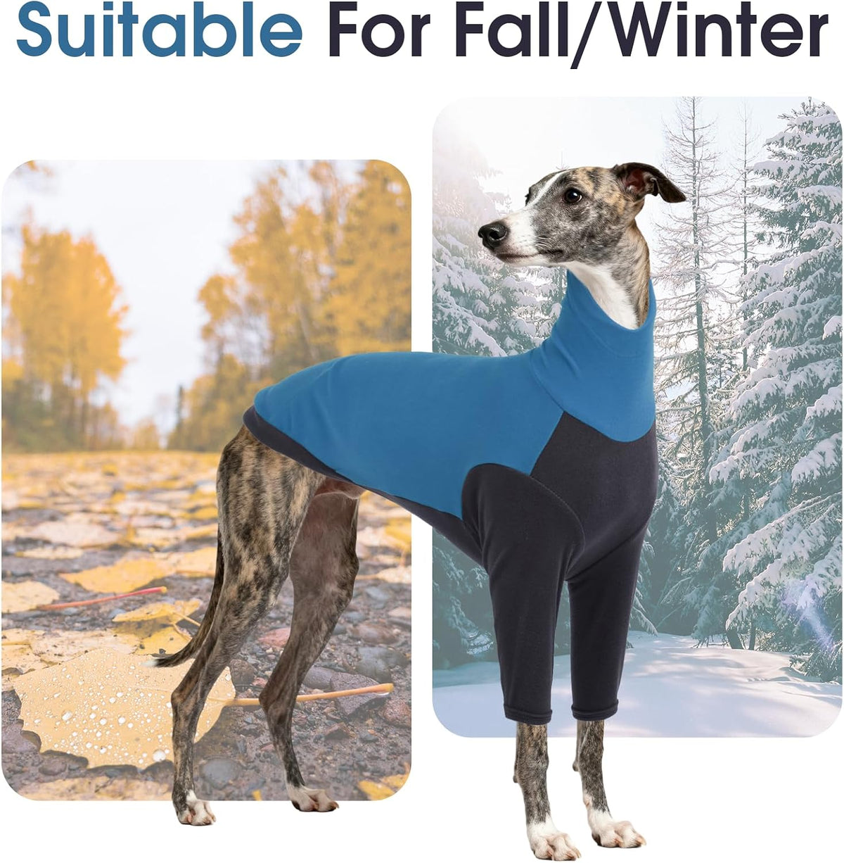 DENTRUN Greyhound Sweatshirt, Fleece Turtleneck Jumper for Sighthounds