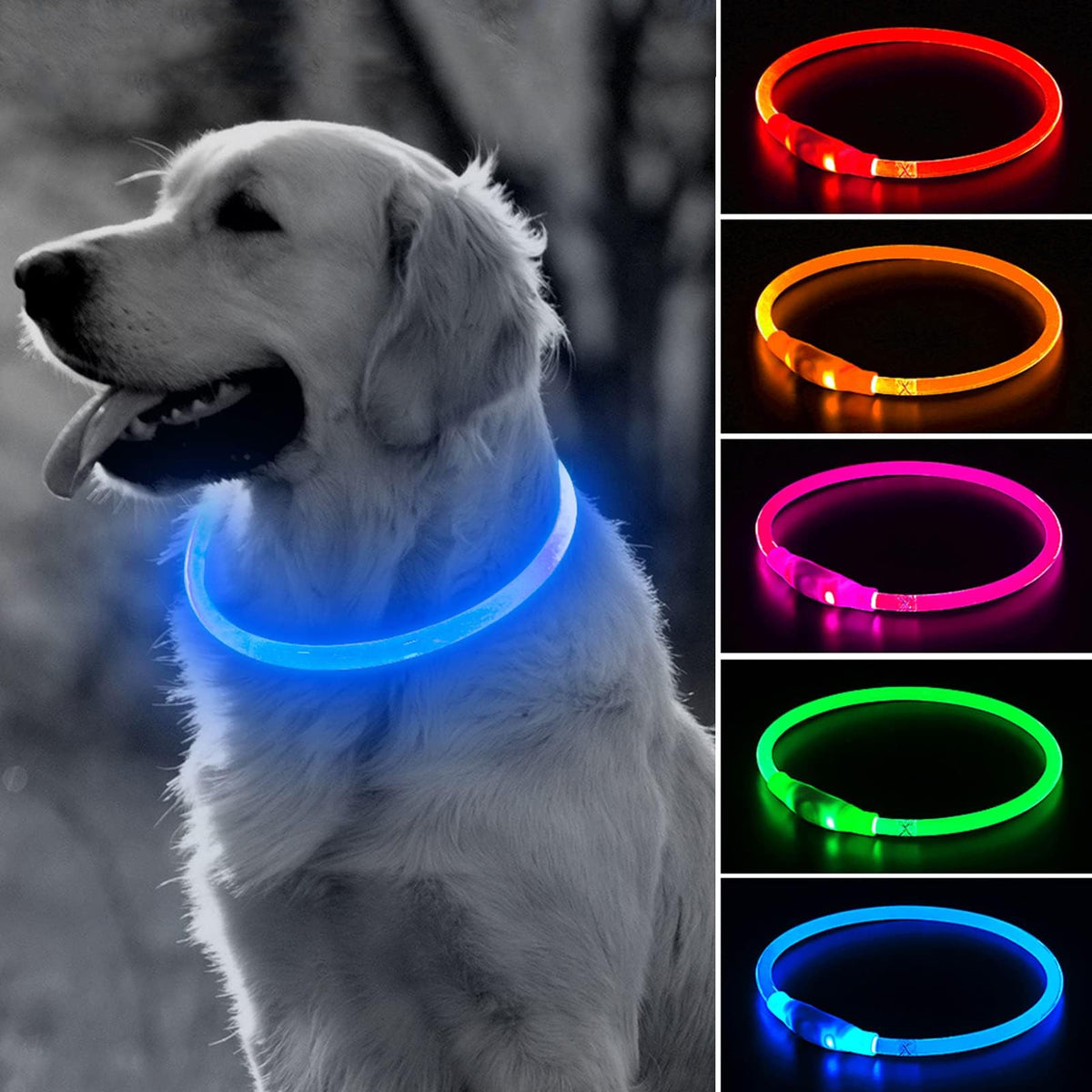BSEEN Light Up Dog Collar - LED Dog Collar Rechargeable, Glowing Pet Collars for Small Medium Large Dogs, TPU Cuttable Lighted Puppy Collar, Safety Dog Lights for Night Walking (Green 70cm)