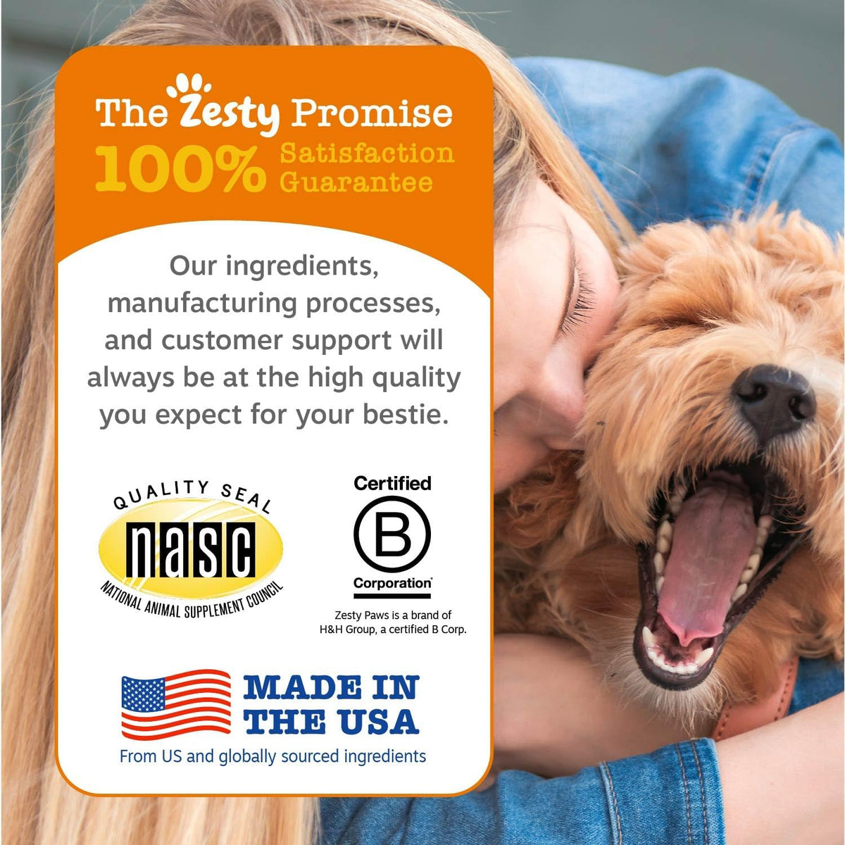 Zesty Paws Salmon Oil for Dogs Skin and Coat, Omega 3 Fish Oil Chews, Dog Allergy Relief Chews, Itch Relief Supplement, 250 Count, Salmon Flavor