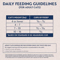 Natural Balance Limited Ingredient Adult Grain-Free Dry Cat Food - Balanced Nutrition - Soy-Free, Corn-Free Limited Ingredient Formula - 10 lb - Salmon & Green Pea Recipe