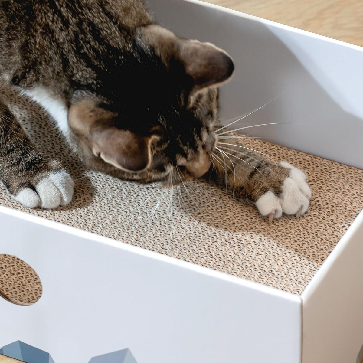 Conlun Cat Scratcher Box, Cardboard Pad, Bed for Indoor Cats, White
