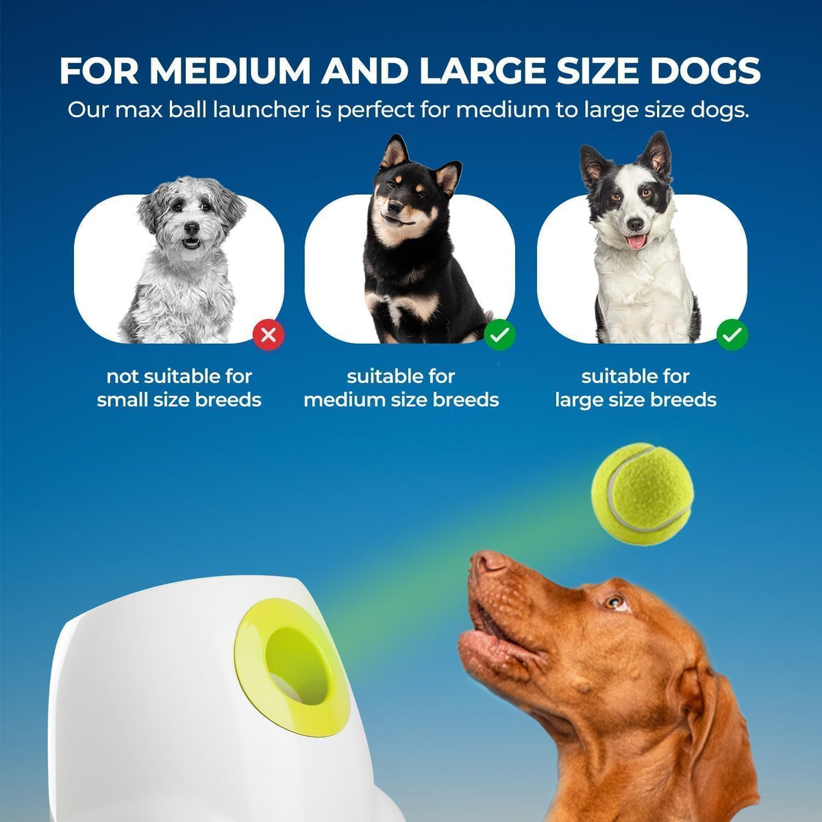 ALL FOR PAWS Automatic Dog Ball Launcher, Interactive Fetch Toy for Medium to Large Dogs, Rechargeable Pet Ball Thrower Machine for Outdoor Play, 6 Pcs 2.5-Inch Balls Included