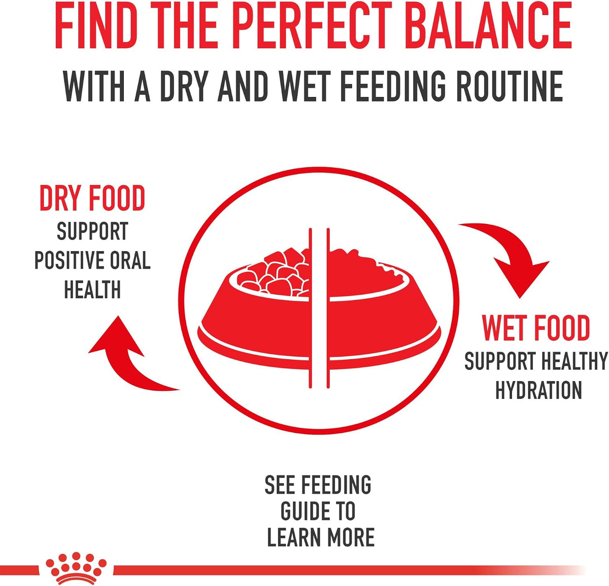 Royal Canin Canine Care Nutrition Digestive Care Adult Loaf in Sauce Dog Food, 13.5 oz (Pack of 12)
