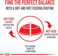 ROYAL CANIN Canine Health Nutrition Adult in Gel Dog Food, 13.5 oz (Pack of 12)