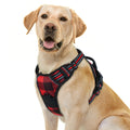 rabbitgoo Dog Harness No Pull with 2 Leash Clips, Adjustable Soft Padded, Reflective Oxford No Choke Pet Vest with Easy Control Handle for Medium Sized Dogs, Black, M