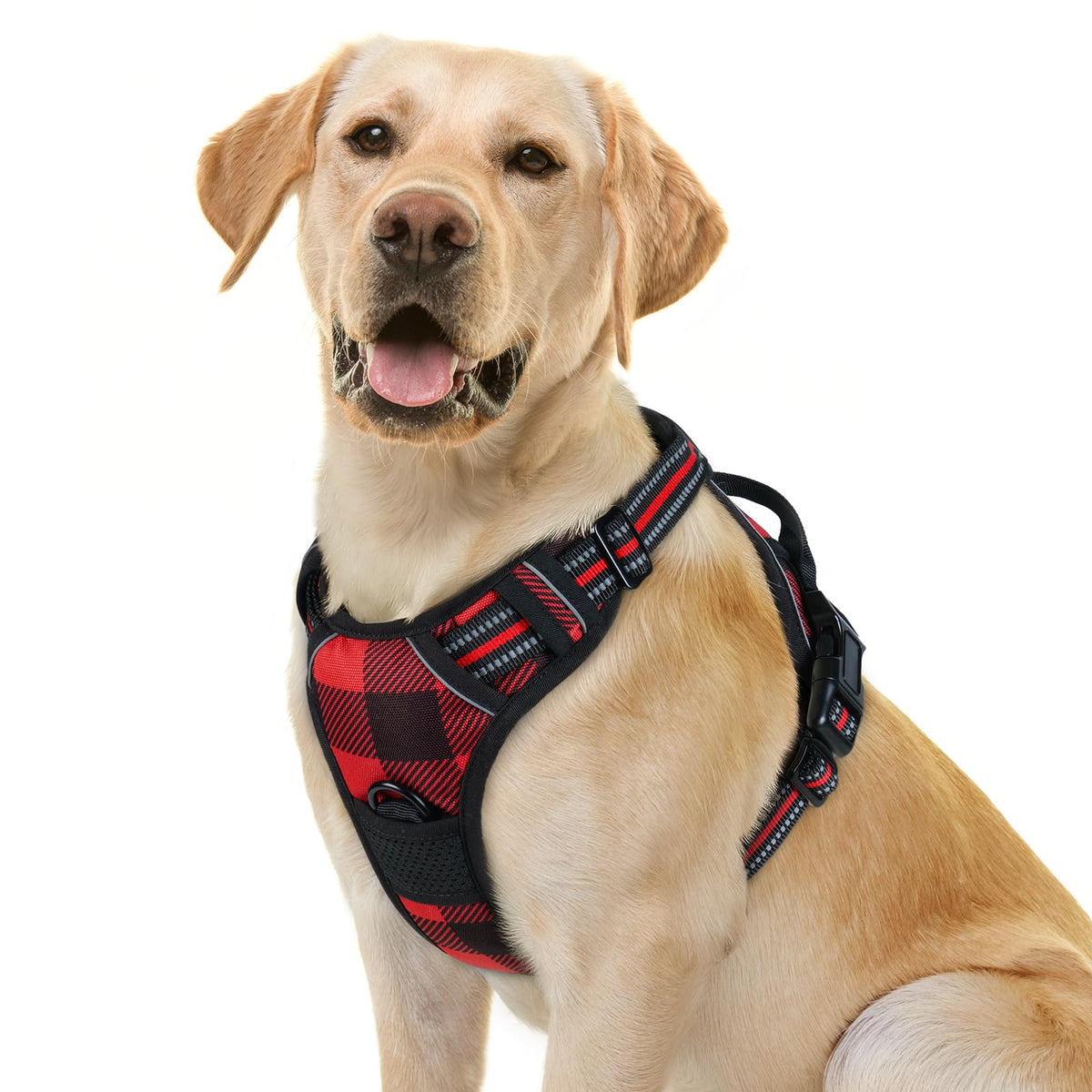 rabbitgoo Dog Harness No Pull with 2 Leash Clips, Adjustable Soft Padded, Reflective Oxford No Choke Pet Vest with Easy Control Handle for Medium Sized Dogs, Black, M