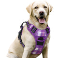 rabbitgoo Dog Harness No Pull with 2 Leash Clips, Adjustable Soft Padded, Reflective Oxford No Choke Pet Vest with Easy Control Handle for Medium Sized Dogs, Black, M