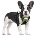 rabbitgoo Dog Harness No Pull with 2 Leash Clips, Adjustable Soft Padded, Reflective Oxford No Choke Pet Vest with Easy Control Handle for Large Dogs, Black, L