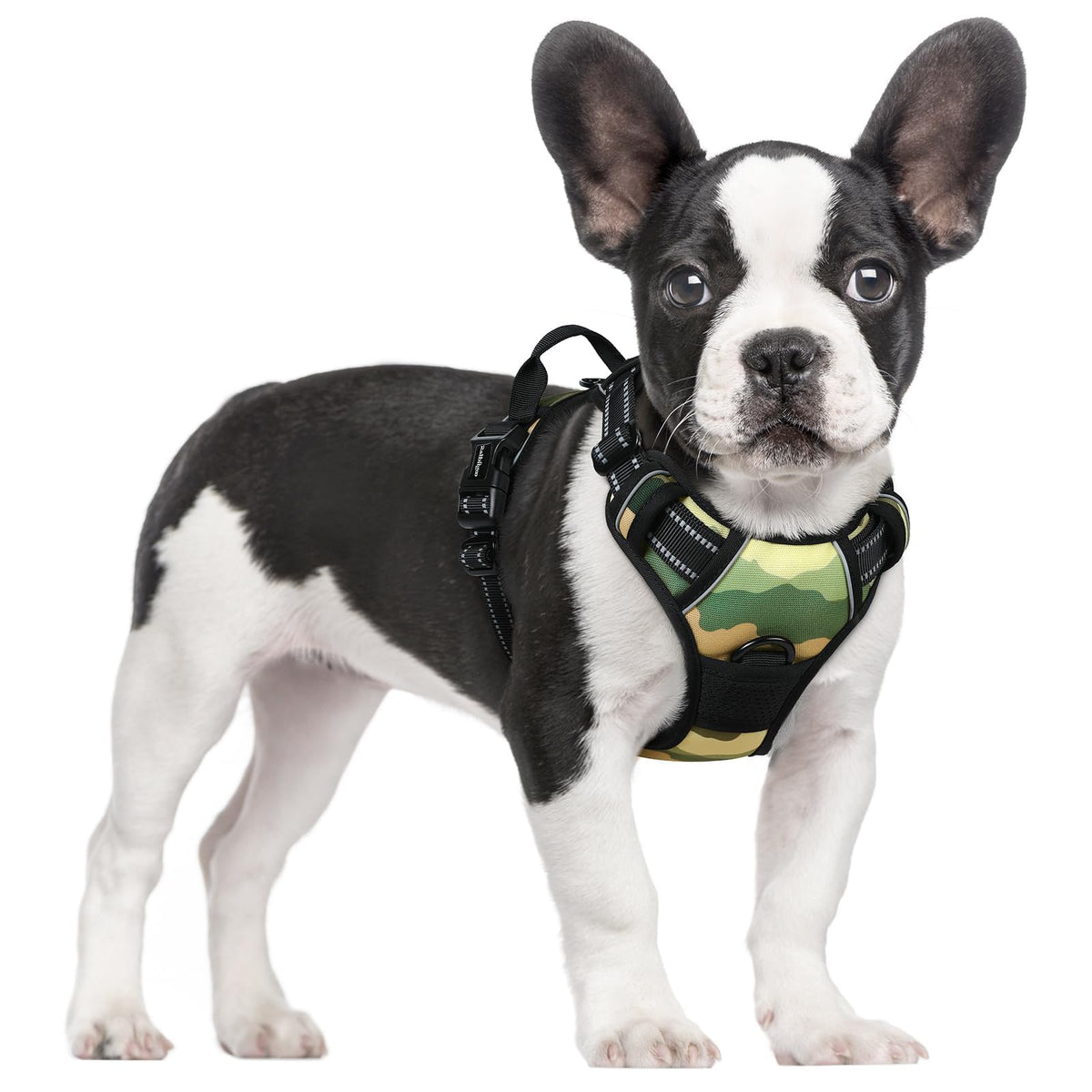 rabbitgoo Dog Harness No Pull with 2 Leash Clips, Adjustable Soft Padded, Reflective Oxford No Choke Pet Vest with Easy Control Handle for Large Dogs, Black, L