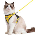 rabbitgoo Cat Harness and Leash Set, Escape Proof Vest, Black | Soft Breathable Mesh, Easy Adjustable Fit, Snap Buckles, Sturdy Clip, Reflective Strips, for Small & Average Cats Walks, Xs